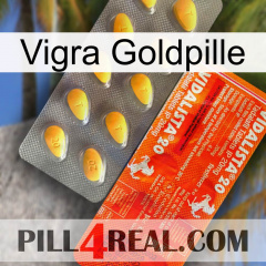 Vigra Gold Pill new01